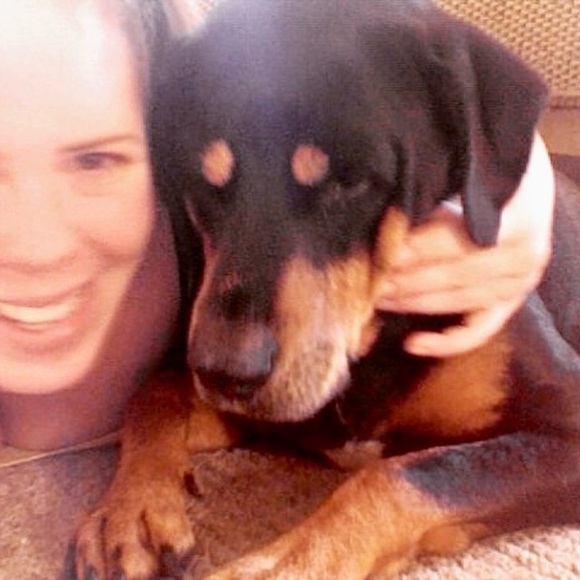 Cohosting EVERYTHING PETS Posh Party - 8/5 at 6:00 CST. Sign up for a host pick! - Picture 12 of 12